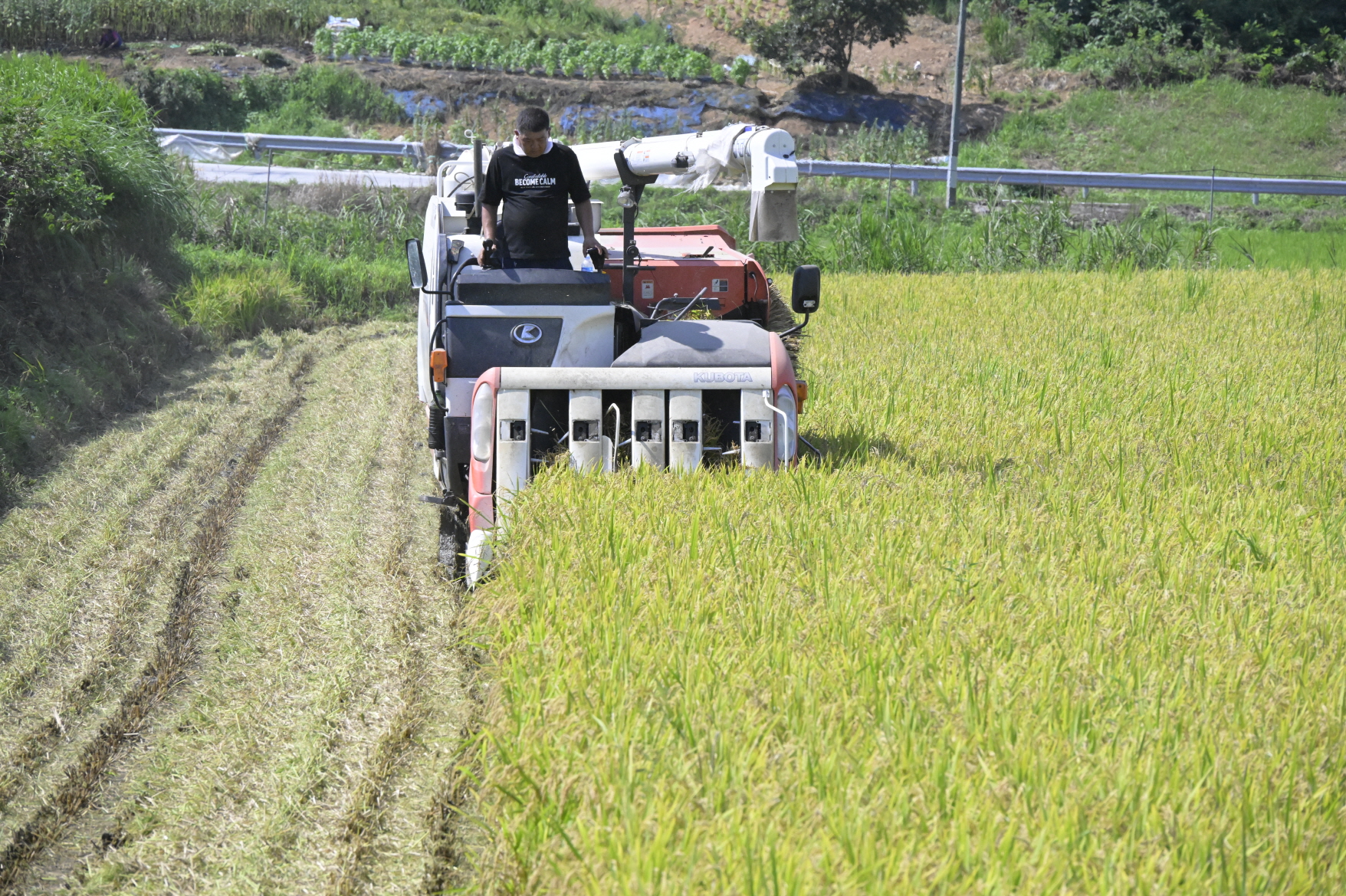 순창군, ‘볏짚환원 지원사업’ 완료… 병해 예방 효과 뚜렷