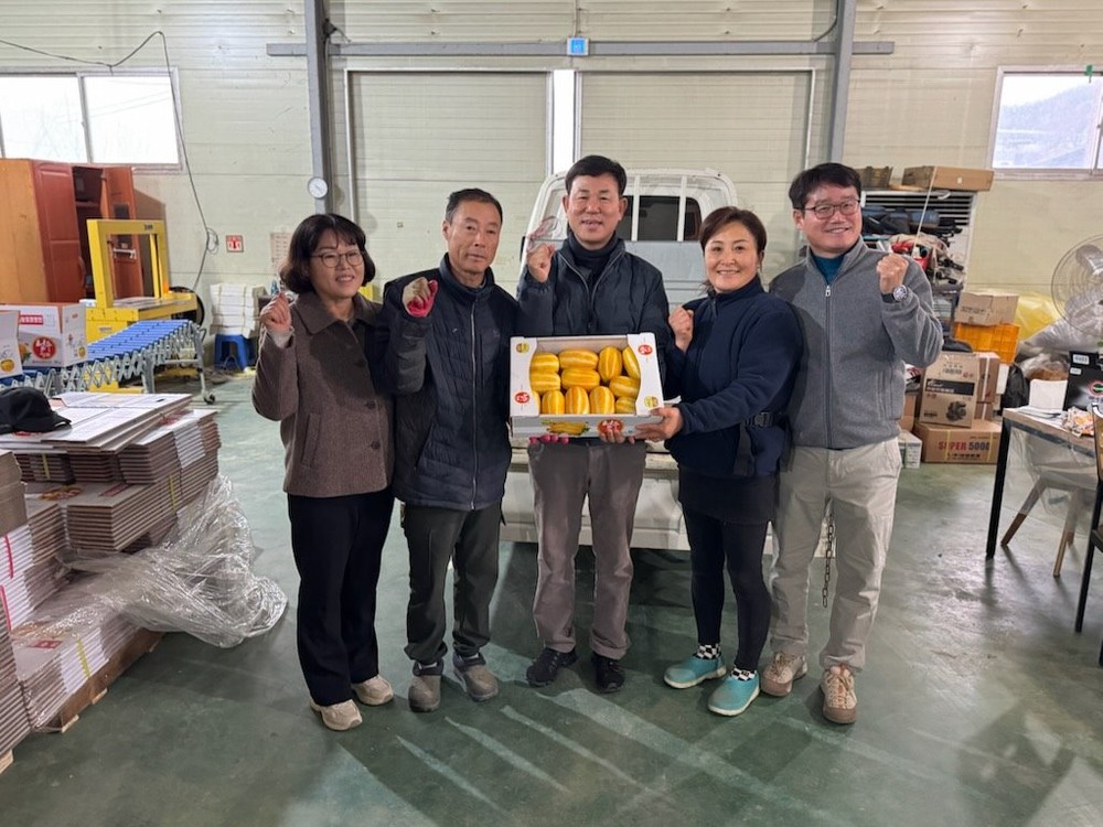 선남면, 황금빛 참외 첫 출하로 참외 조수입 7천억 달성 시작!