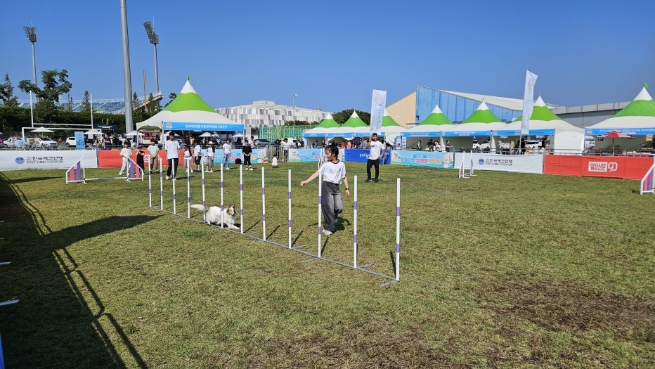 반려동물 친화도시 포항 도약 … 고품질 친환경 축산 기반 다진다