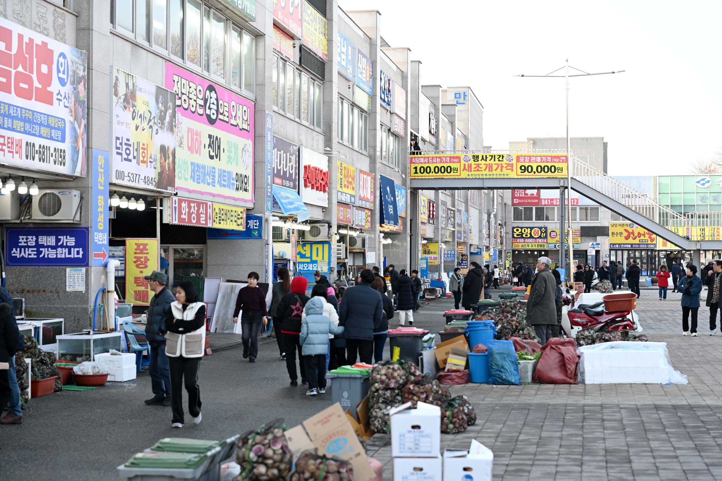 남당항 새조개 인기에 ‘홍성’ 해양 관광 들썩들썩!!