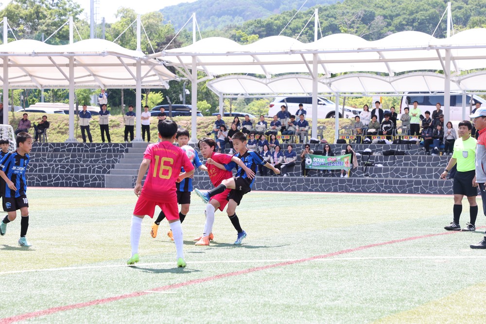 진천군, 생거진천배 전국 유소년 축구 페스티벌 개최