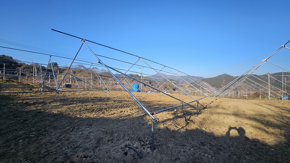 순천시, 과수 경쟁력 높인다… 2026년 농촌진흥 시범 사업 본격 추진
