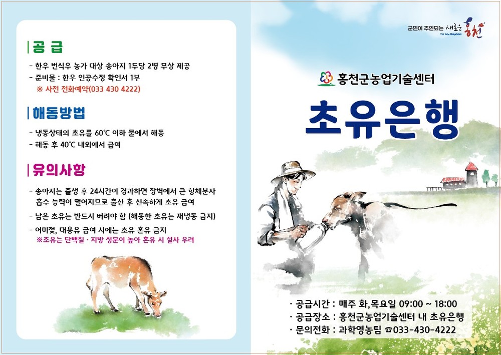 홍천군농업기술센터 초유 은행, 2025년 초유 공급량 2024년 대비 181% 수준으로 확대