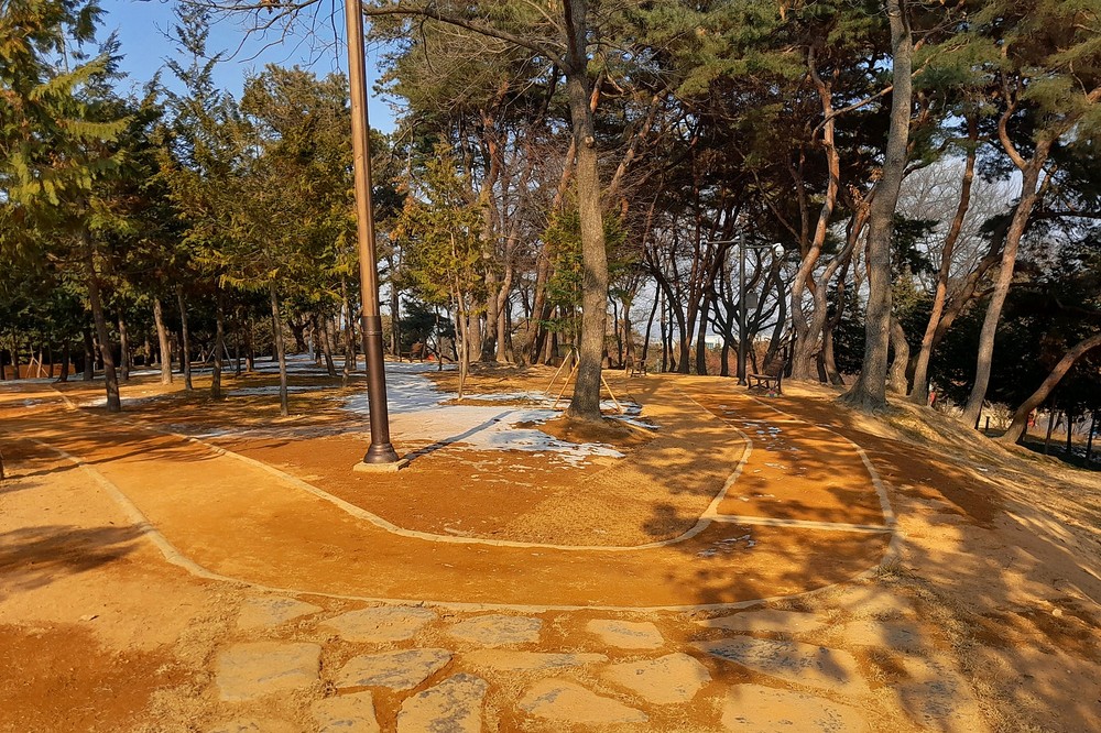 도심 속 힐링, 논산시 맨발걷기길 조성으로 주민 건강 증진 도모
