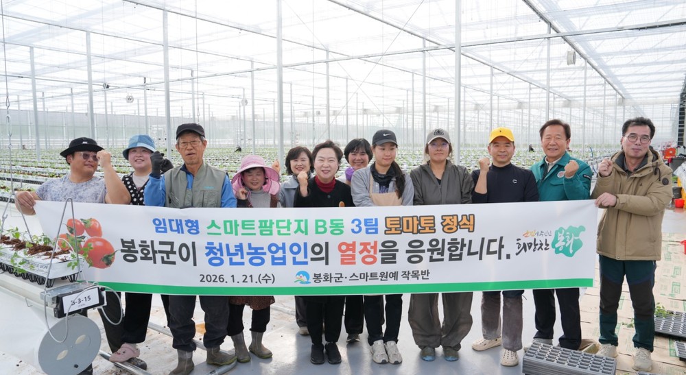 봉화군, 임대형 스마트팜 단지 토마토 정식 완료하며 본격 운영