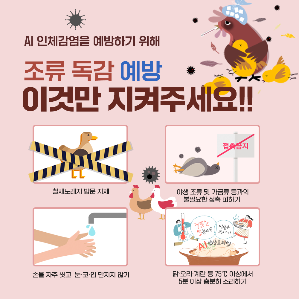 곡성군, 조류독감 확산 막기 위한 예방 조치 총력
