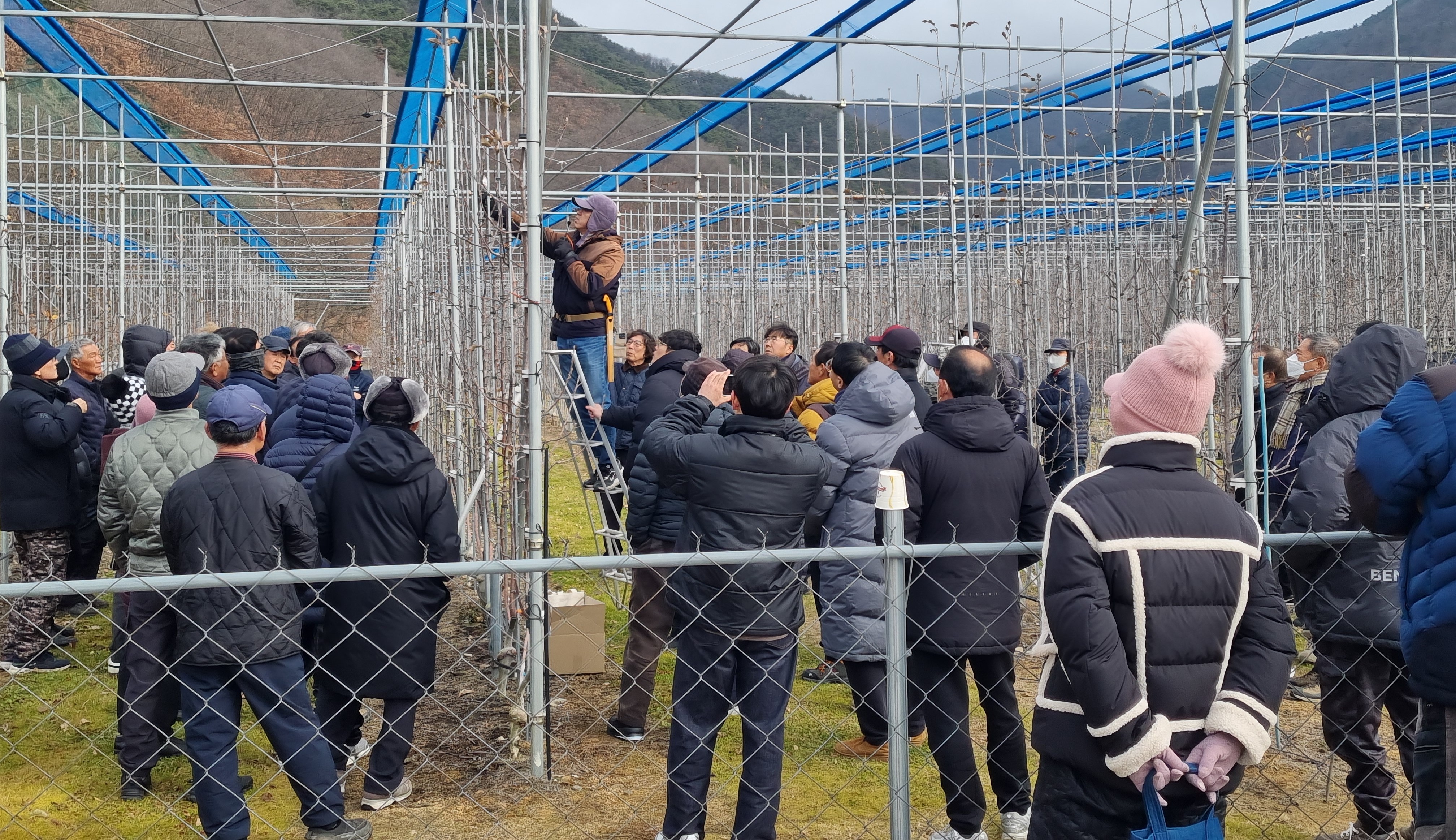 영천시, 새해농업인 실용교육 성황리에 마무리