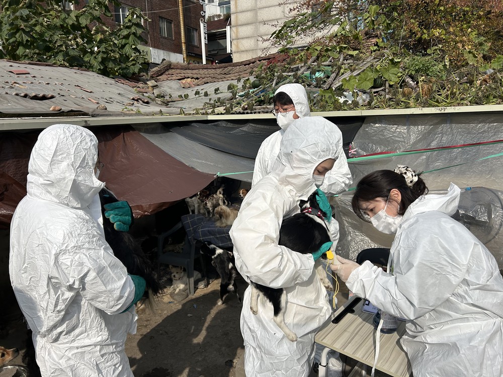 노원구, 전국 최대 규모 애니멀 호딩 사례 민·관 협력으로 성공적 마무리