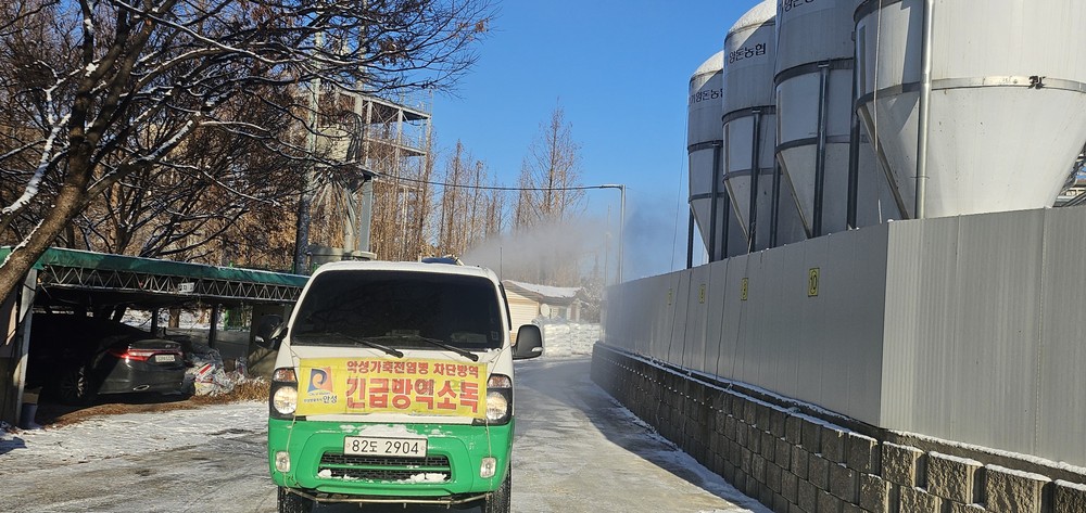 안성시 돼지농장 아프리카돼지열병 발생에 따른 총력 대응