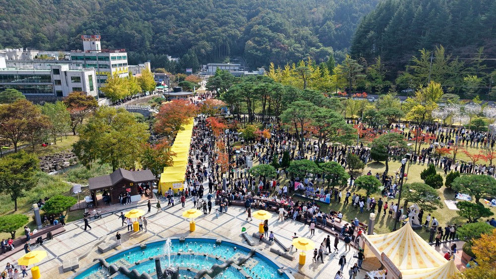 2026년 김천, 축제 패러다임 확장으로 지역경제 활력 제고