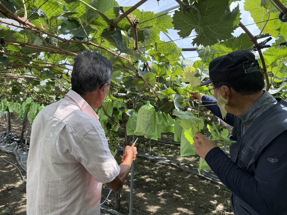 옥천군, 신규농업인 현장실습교육 교육생 모집