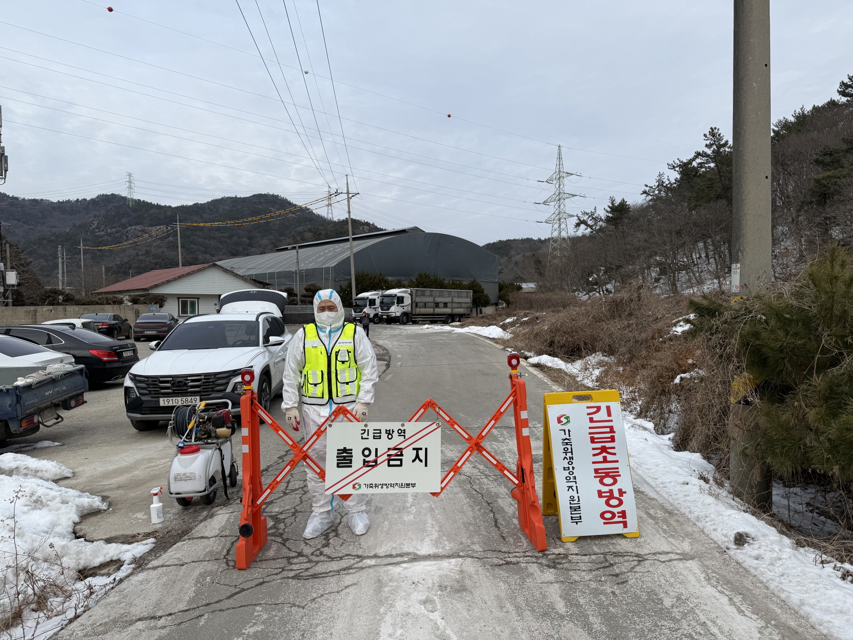 영광 양돈농장 아프리카돼지열병 발생…전남도, 확산 차단 총력