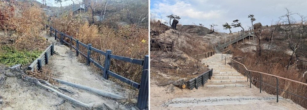 회복된 숲길, 더 편해진 산행..서대문구 인왕산 산불 피해지 복구