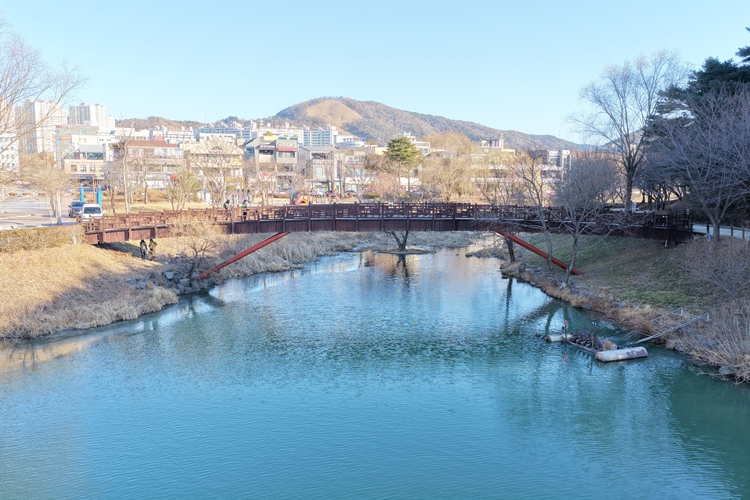 순천시, 조례호수공원 목교 확장을 위한 정밀안전진단 실시