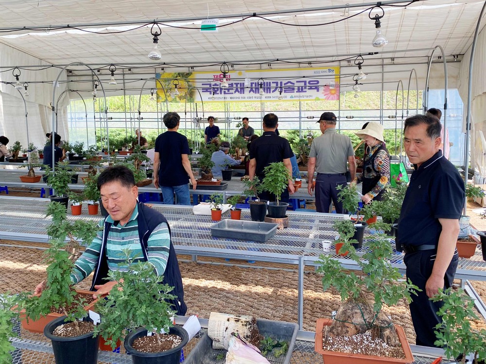 함양군, 제7회 국화분재 재배기술교육 교육생 모집
