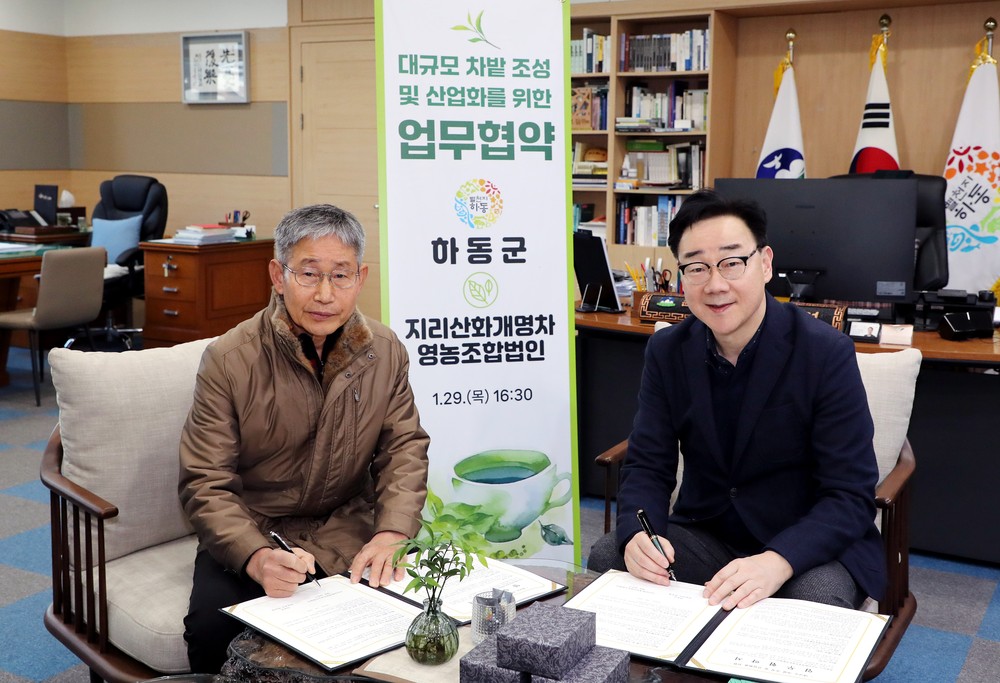 하동군, 세계 가루녹차 시장 선점..대규모 기계화 차밭 조성 첫 결실