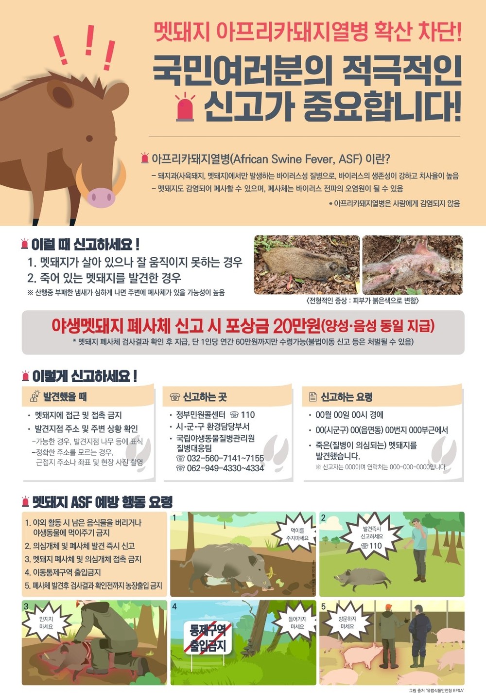 전남도, 아프리카돼지열병 차단 위해 야생멧돼지 집중 포획