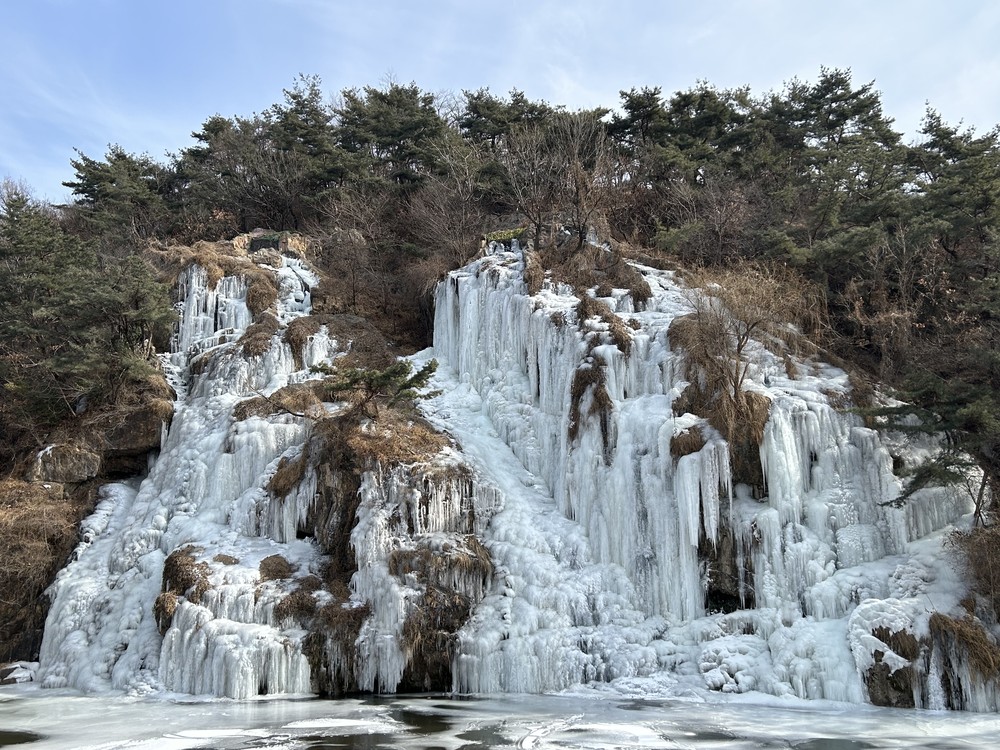 서대문 홍제폭포, 도심 속 ‘거대 은빛 빙벽’ 장관… 글로벌 겨울 랜드마크로 우뚝