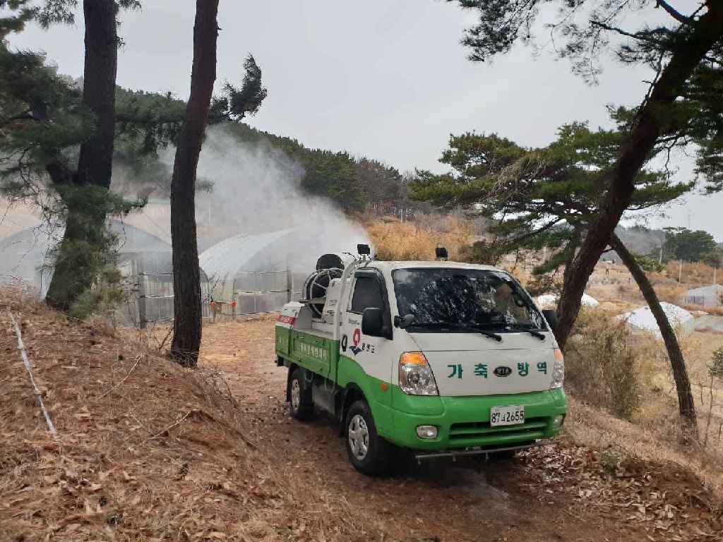 옹진군, 가축전염병 차단방역 추진