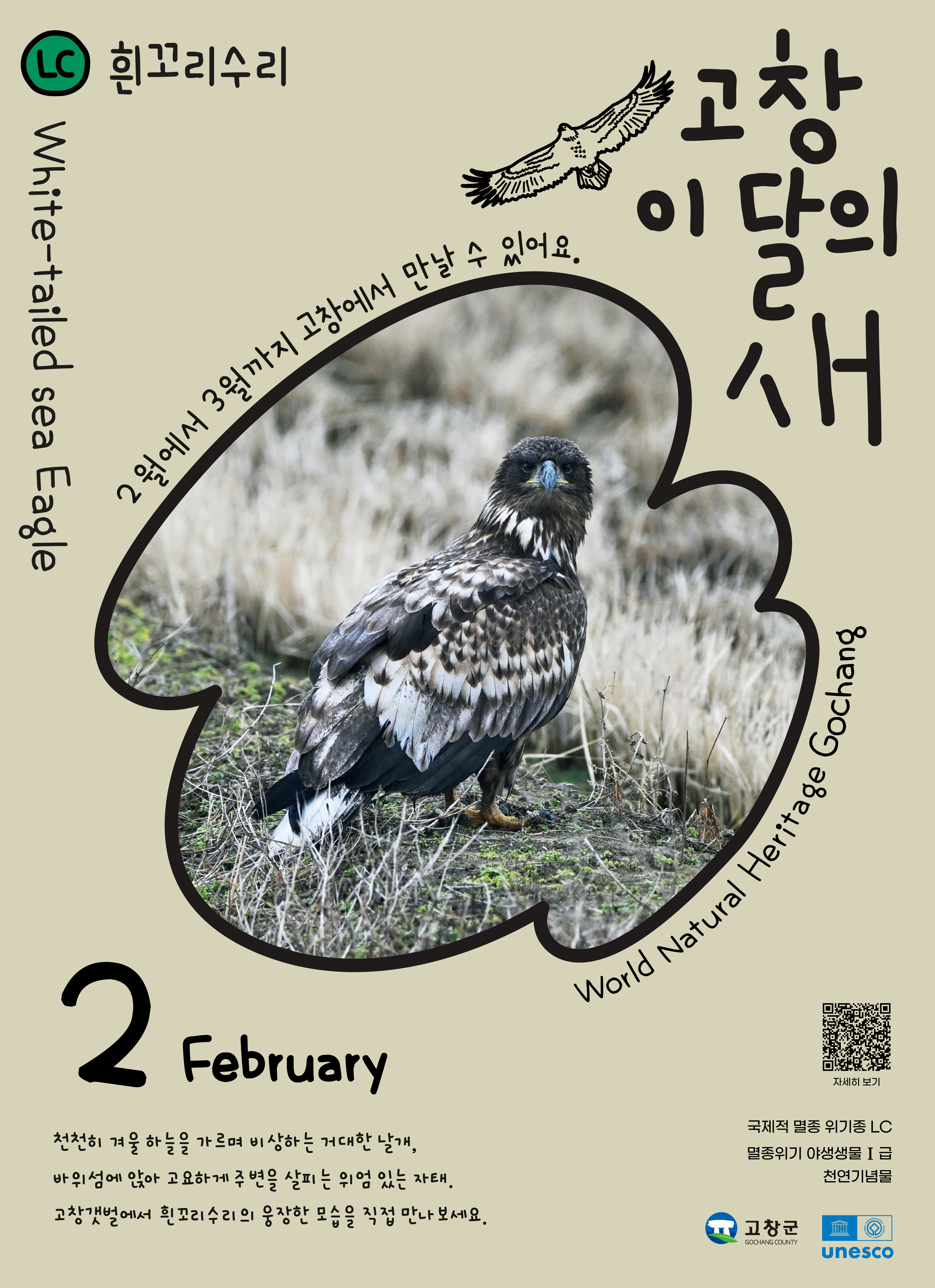 고창군, 2월 ‘고창갯벌 이달의 새’로 ‘흰꼬리수리’ 선정