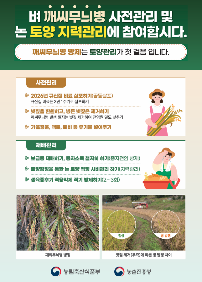 사천시, 벼 깨씨무늬병 예방 총력