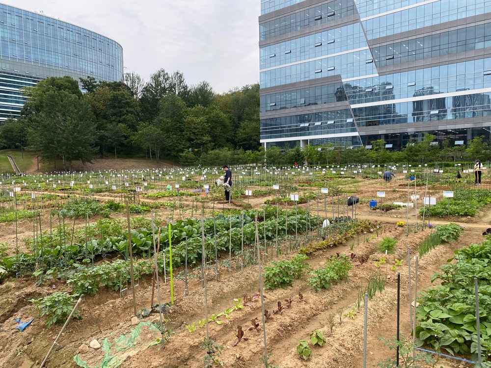 구리시, 더 행복한 시민텃밭, 행복팜팜(farm farm) 도시농부 모집