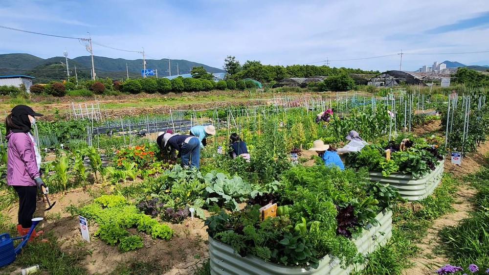 2026년 도시농업 기초반, 전문가반 교육생 모집