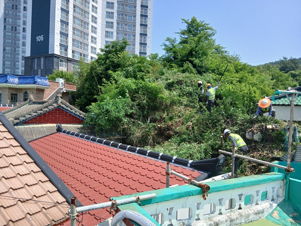 고성군, 도시림 체계적 관리를 위한 녹지(수목)정비단 운영