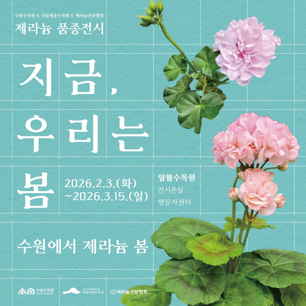 수원수목원, 제라늄 기획전 ‘우린, 지금부터 봄’ 개최