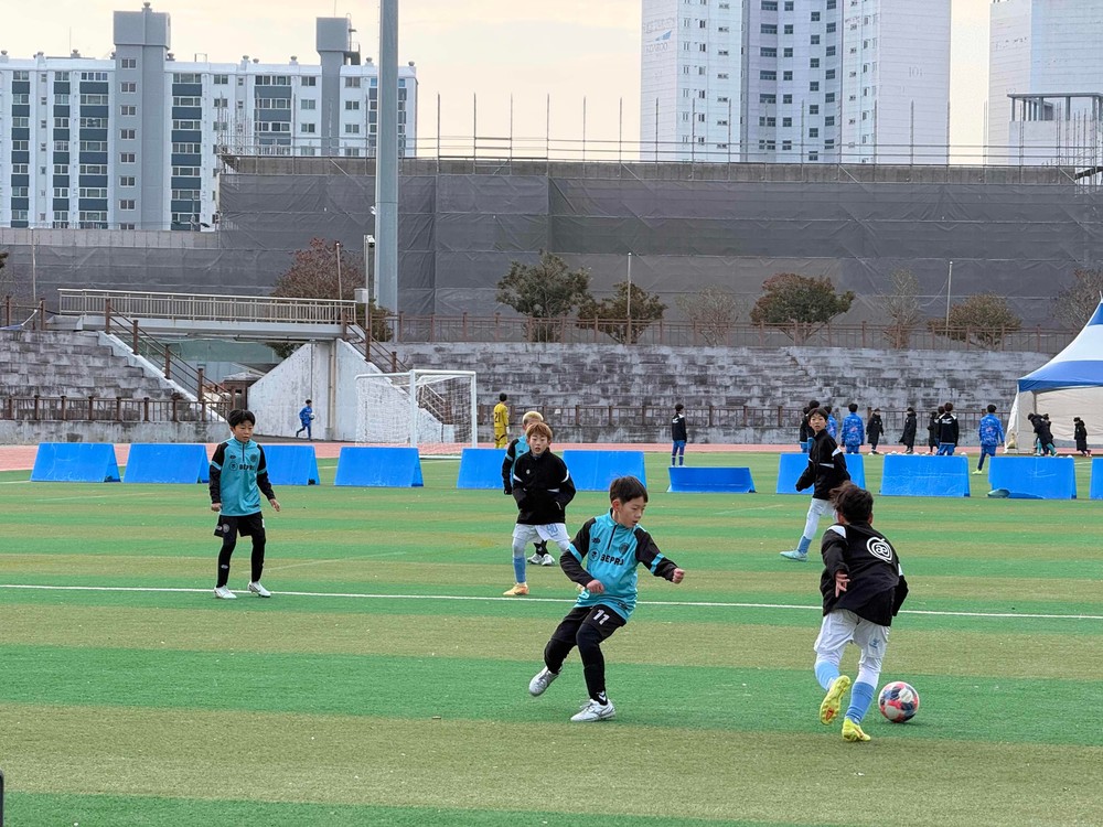 강진군, 강진청자배 초등 축구 동계 페스티벌 개최