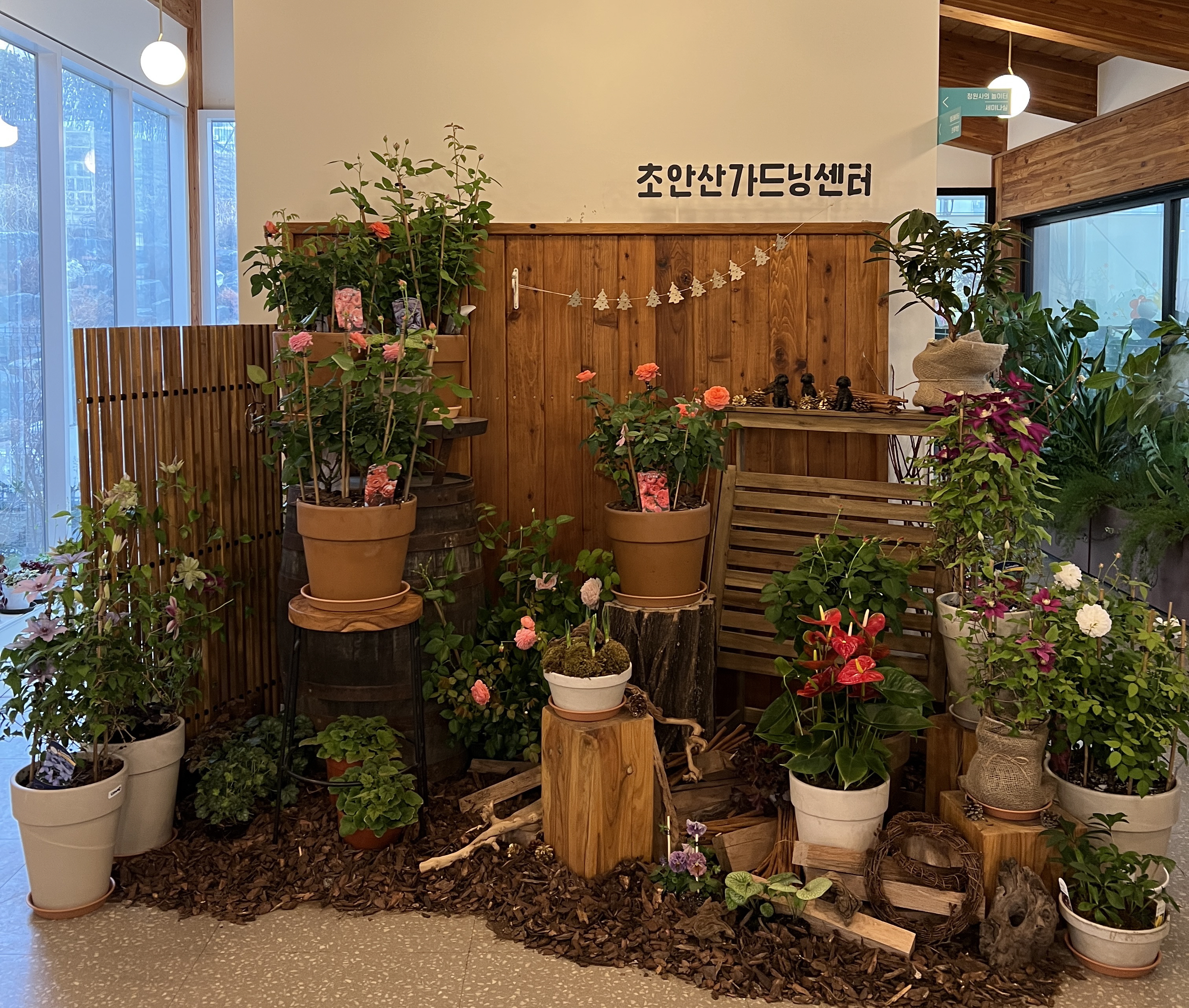 도봉구 초안산가드닝센터, '정원을 만드는 힘' 기획전 개최