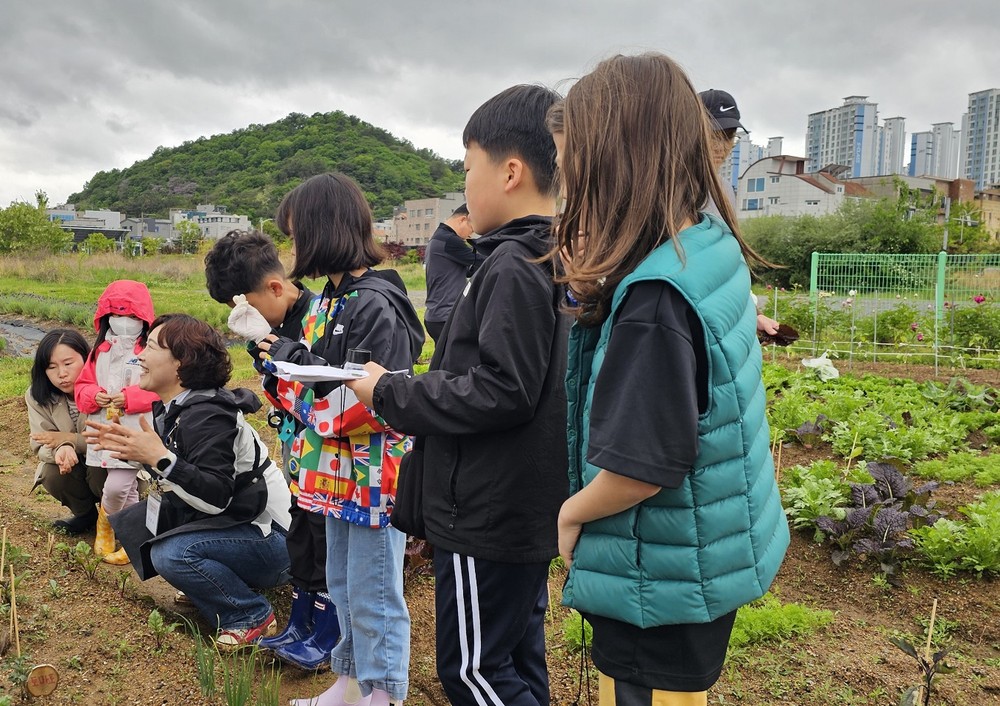 순천시, 치유형 가족사랑 도시텃밭 체험 참여가족 모집