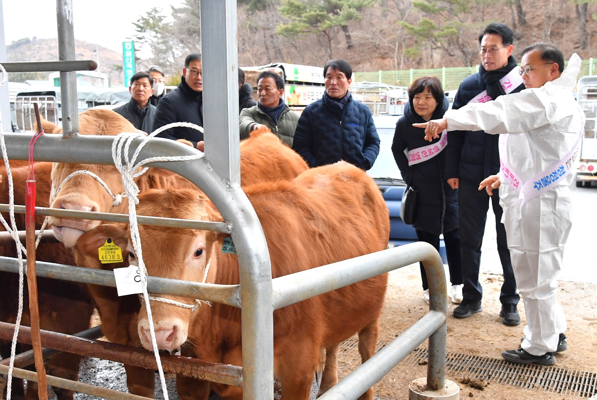 울주군, 설맞이 가축시장 현장점검 실시