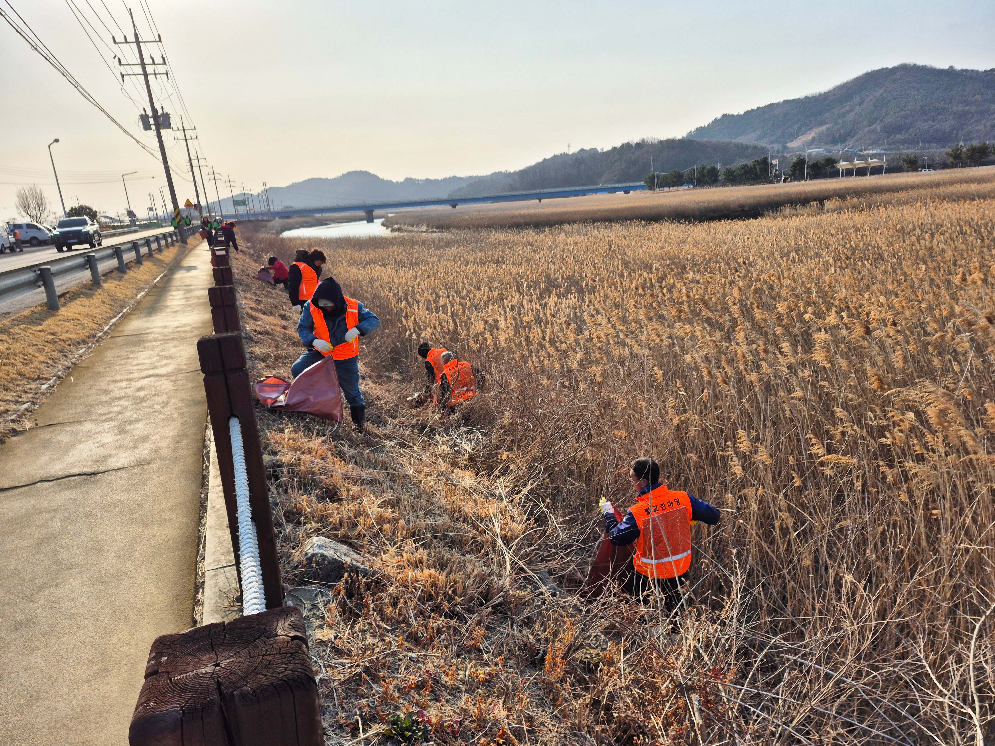 보성군 벌교읍, 설맞이 환경정화 활동 실시…민관·사회단체 100여 명 참여