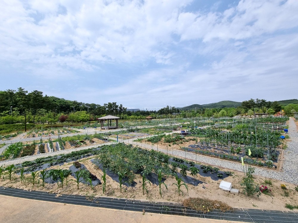 인천중구시설관리공단, 2026년 도시농업활동 참여자 모집