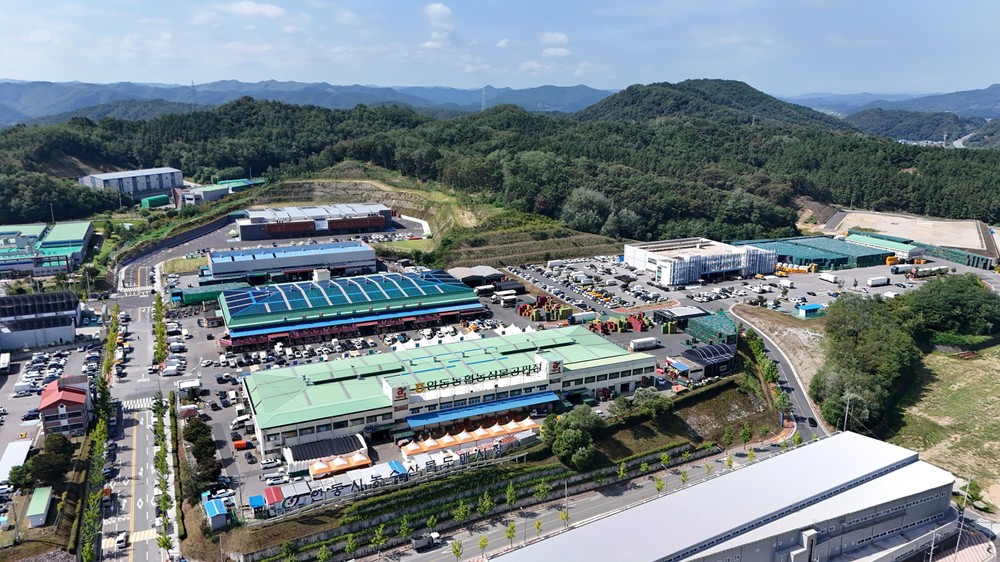 안동시농수산물도매시장 설날 정기휴장 안내