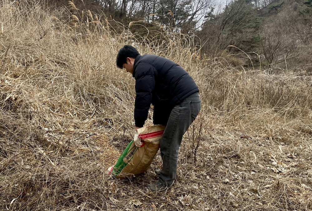 영주시, 동절기 야생동물 먹이주기 행사 열어