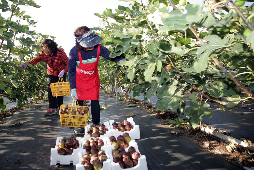전남도, 농어민 공익수당 10만 원 인상