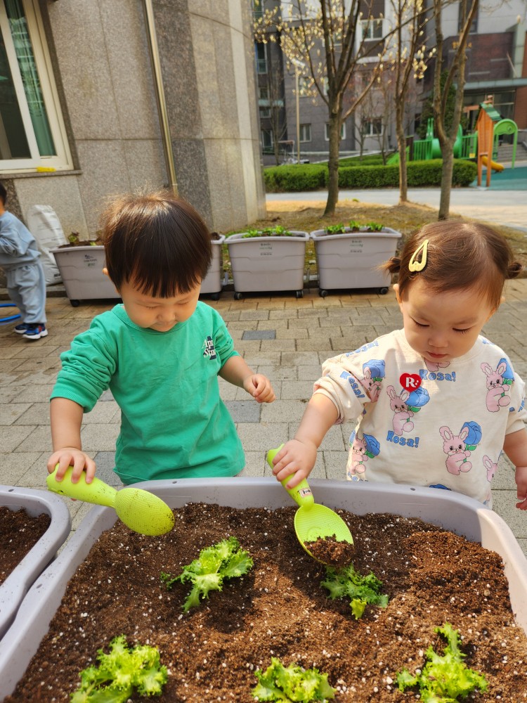 우리집 베란다가 텃밭으로…강남구 ‘상자텃밭’ 1,311세트 분양