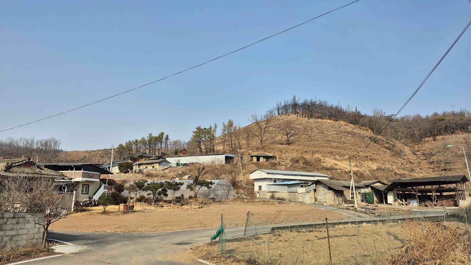 의성군, 산불피해지 위험목 제거사업 361ha 무사고 완료
