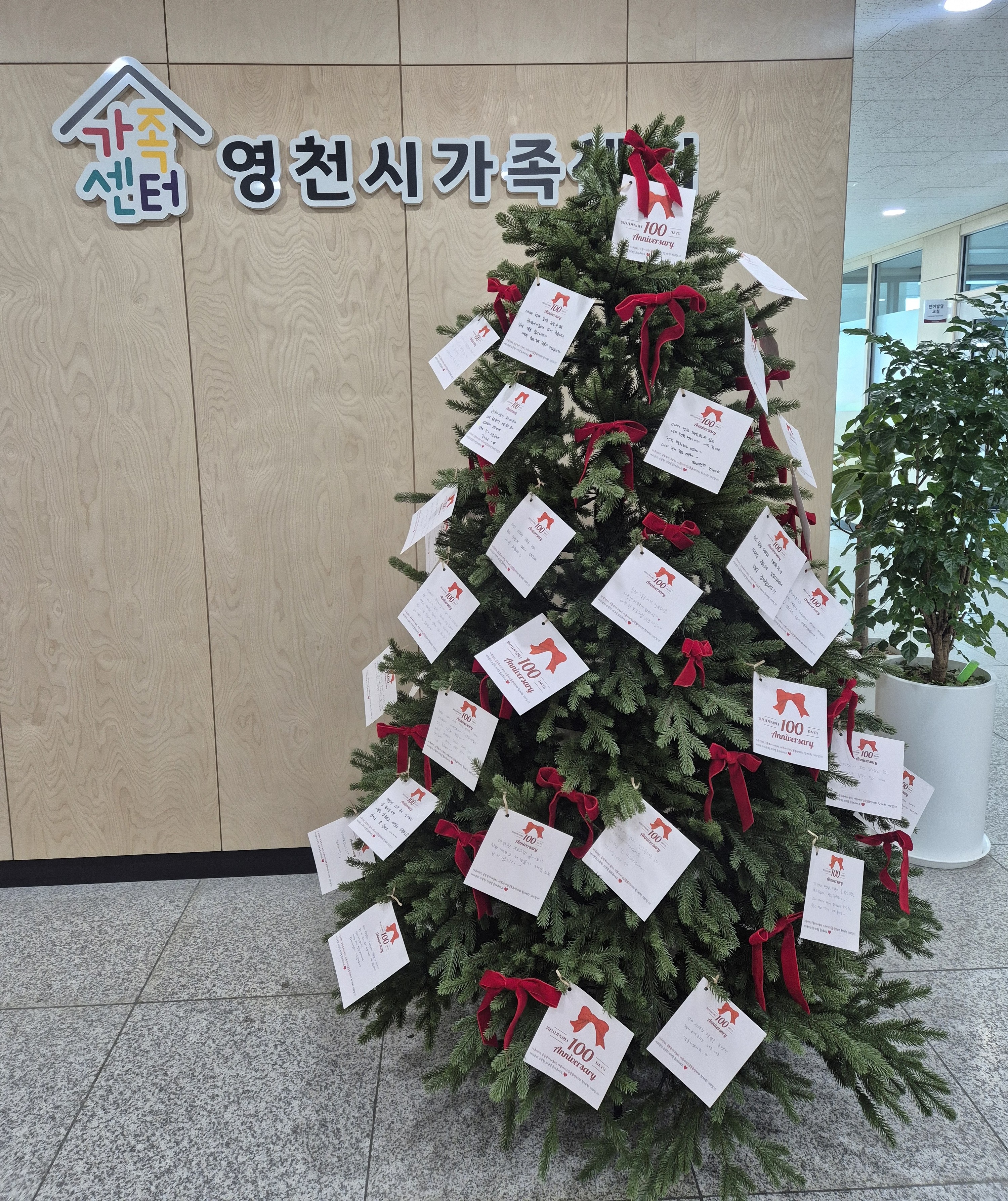 영천시 아이행복센터, 개소 100일 맞아 성과 ‘가시화’