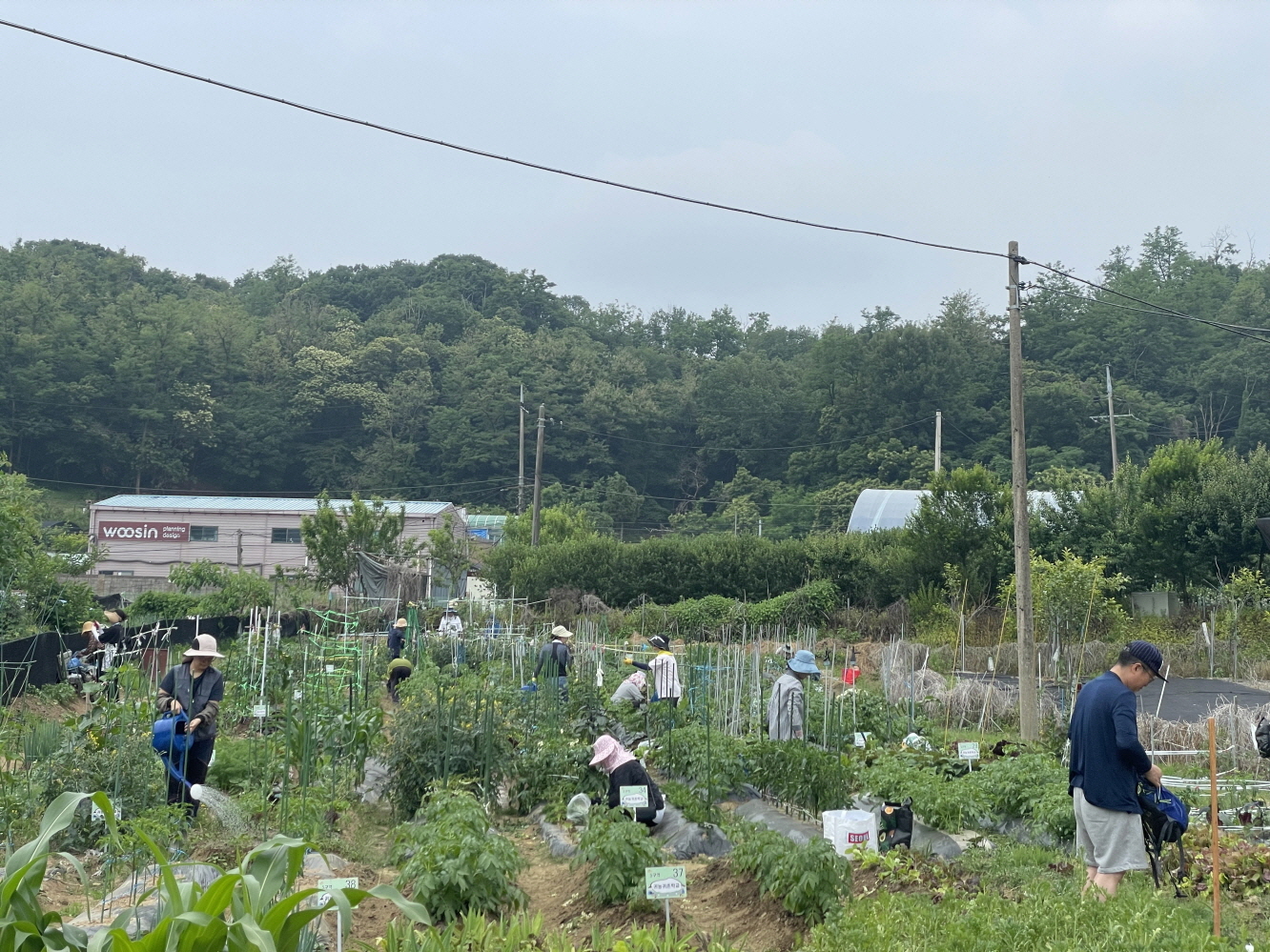 구로구, 2026년 주말농장 540구획 분양… 23일부터 신청 접수