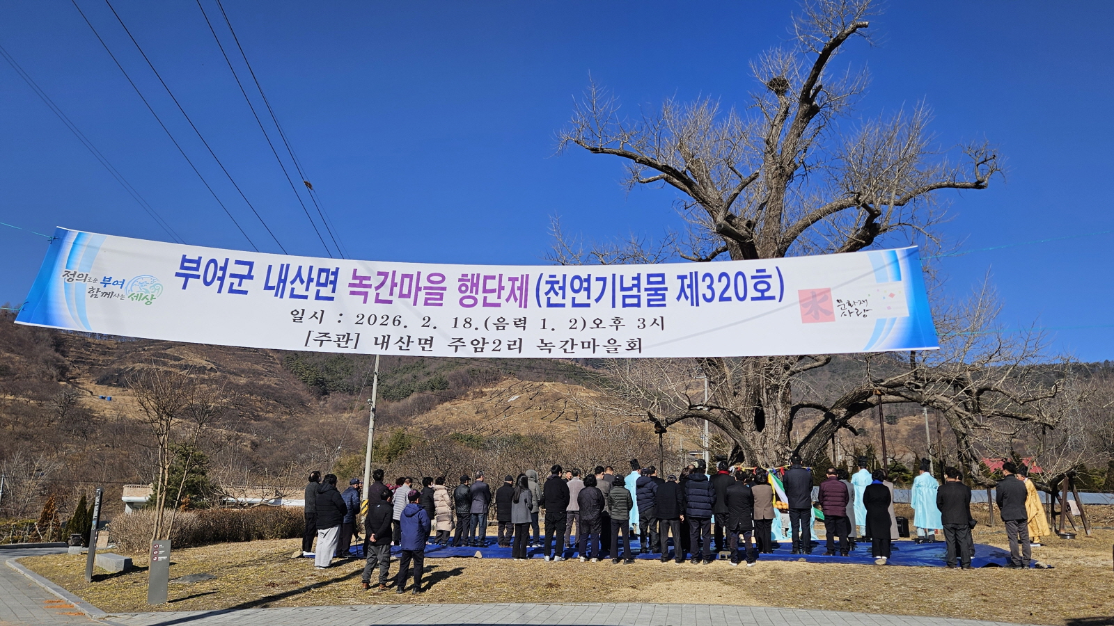 천연기념물 부여 주암리 은행나무 앞에서 행단제[杏壇祭] 거행