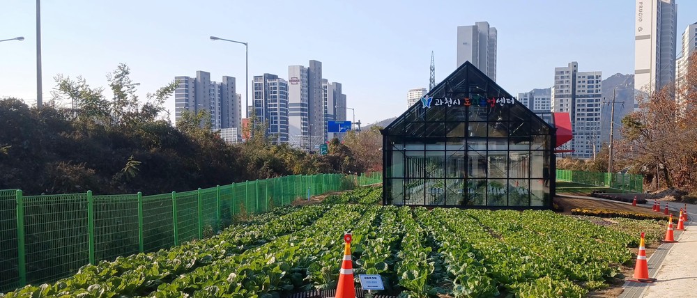 과천시, ‘도시농업 텃밭’ 첫 분양 참여자 모집