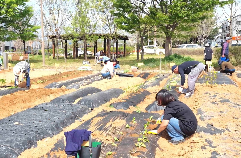 나주시, 시민이 가꾸는 녹색체험 공간 ‘공영 텃밭’ 분양