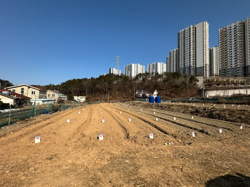 거제시, 2026년 도시민 주말농장 참여자 선착순 모집