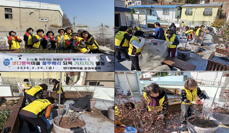 남부민2동 샛디행복마을 운영위원회, 봄맞이 옥상정원 가꾸기 활동 실시