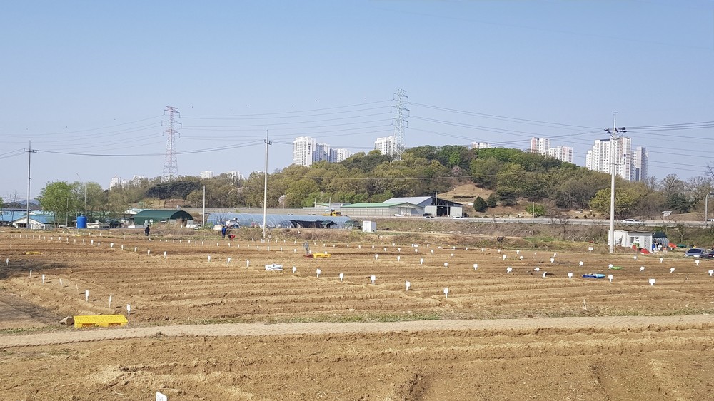 남양주시, ‘2026년 정약용 도시텃밭’분양…도심 속 치유 공간 마련