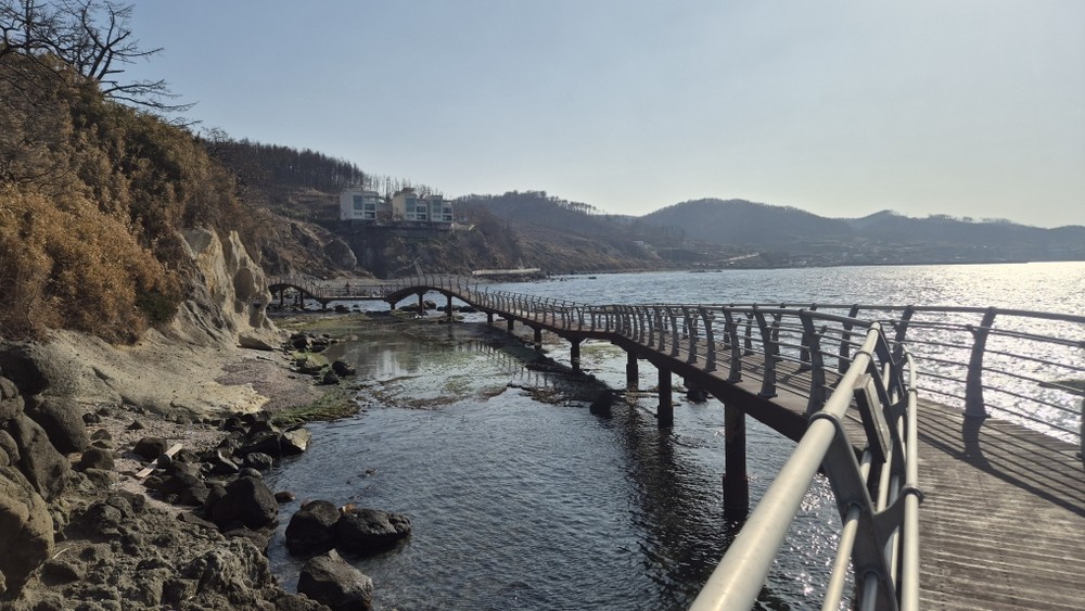 봄 바다 더 가까이 … 포항 호미반도 해안둘레길 새단장