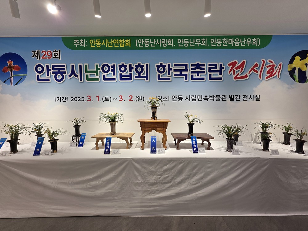 제30회 안동시난연합회 한국춘란 전시회 개최